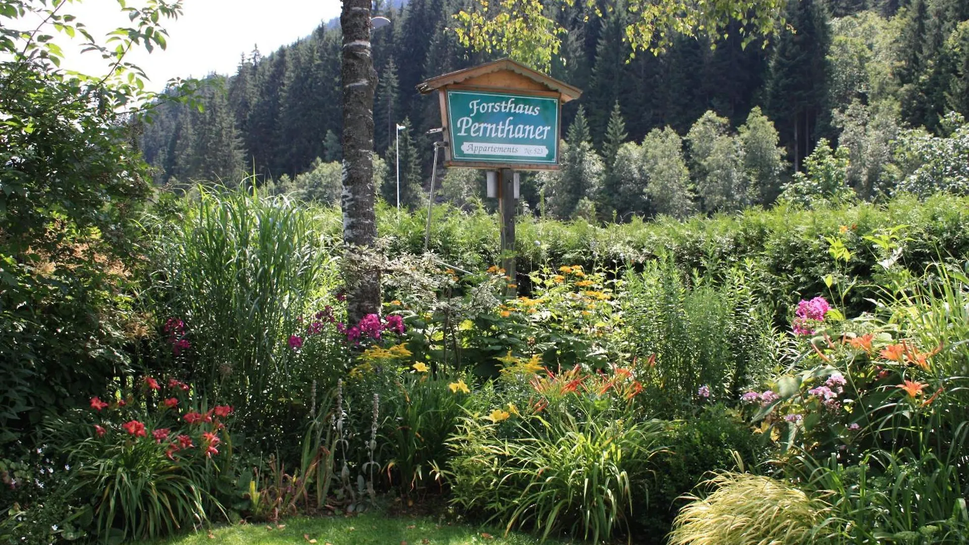 Apartment Forsthaus Pernthaner Saalbach-Hinterglemm